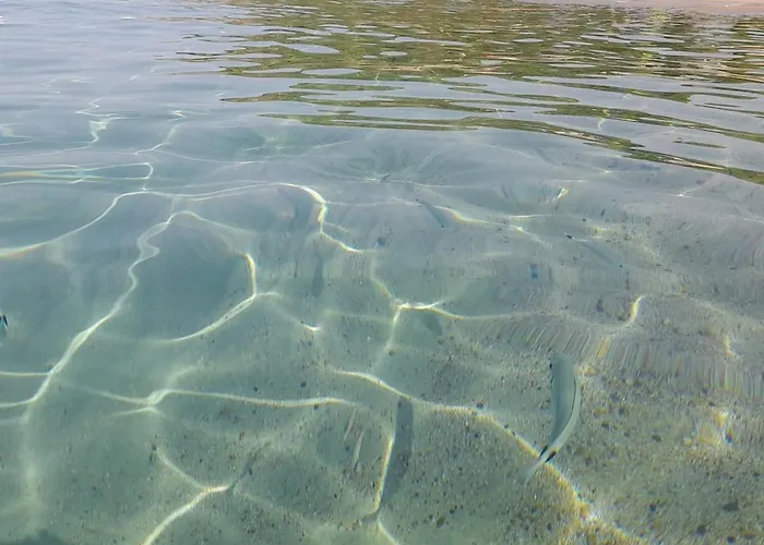 Casamanno Al Mare Kala E Moru Tatil Evi