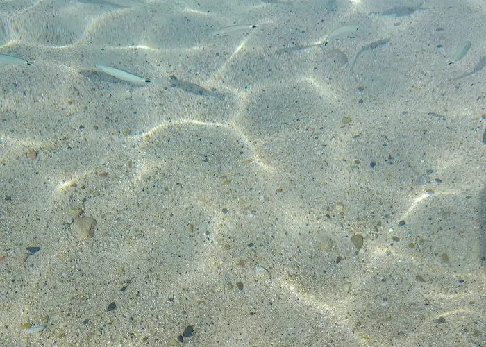 Casamanno Al Mare Kala E Moru Tatil Evi Geremèas